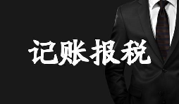 新成立的公司記賬報稅方面有哪些選擇？