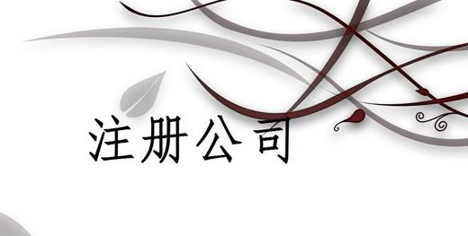 注冊(cè)公司為什么推薦找代理注冊(cè)公司的機(jī)構(gòu)呢？
