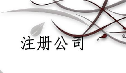 注冊(cè)公司為什么推薦找代理注冊(cè)公司的機(jī)構(gòu)呢？