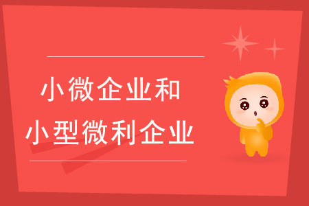 小微企業(yè)和小型微利企業(yè)有什么區(qū)別？
