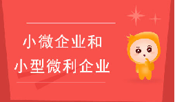 小微企業(yè)和小型微利企業(yè)有什么區(qū)別？