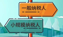 注冊(cè)公司是選擇一般納稅人還是小規(guī)模納稅人？