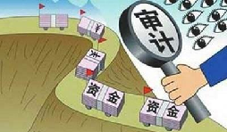 公司審計(jì)是什么,一般有哪幾種？