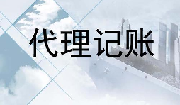 深圳的代賬公司的會計是不是專業(yè)的？